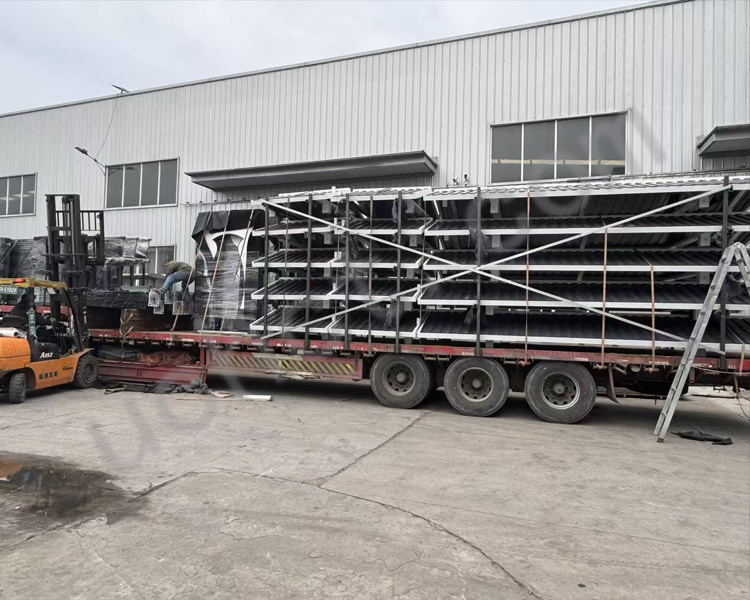 ������ͤװ��